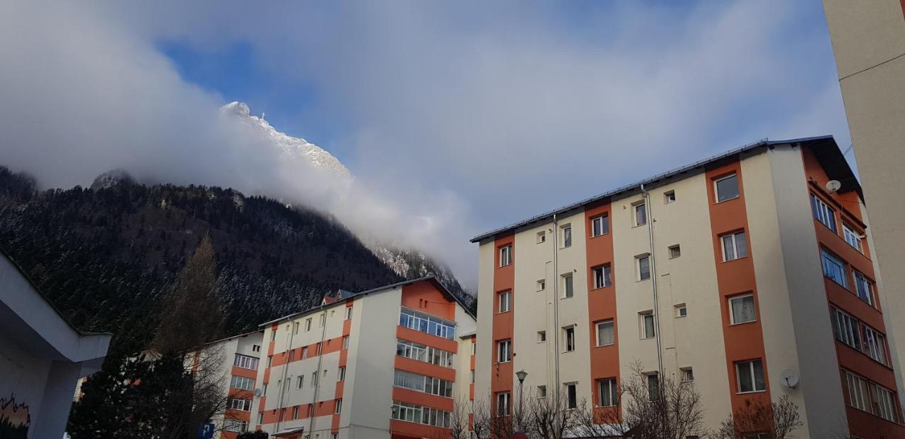 Apartament Silva Buşteni Екстериор снимка